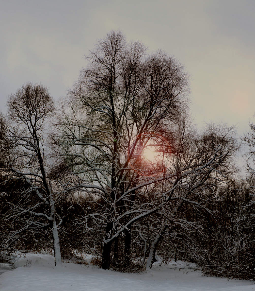 Зимний вечер