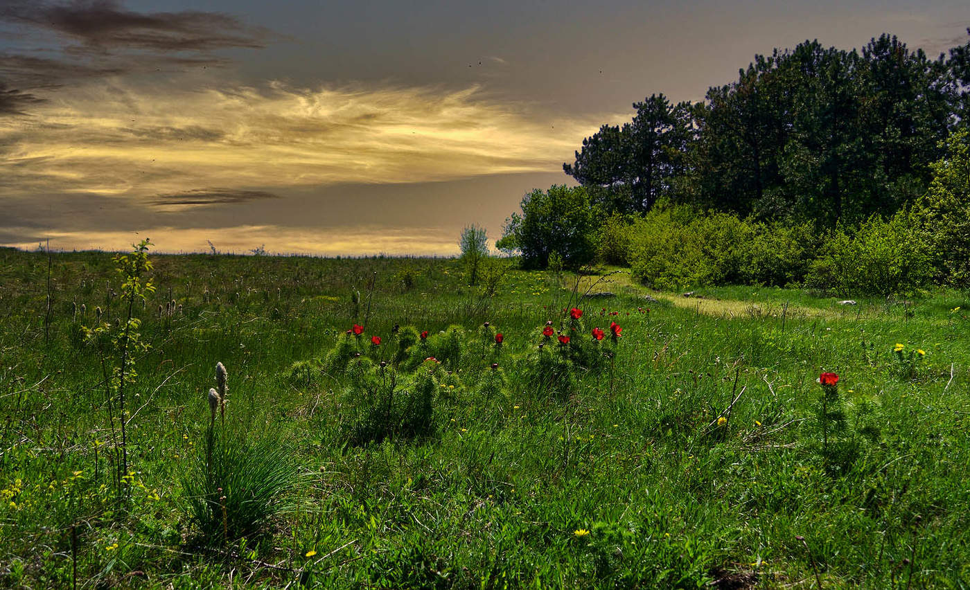 Вечер на плато Таш-Джарган