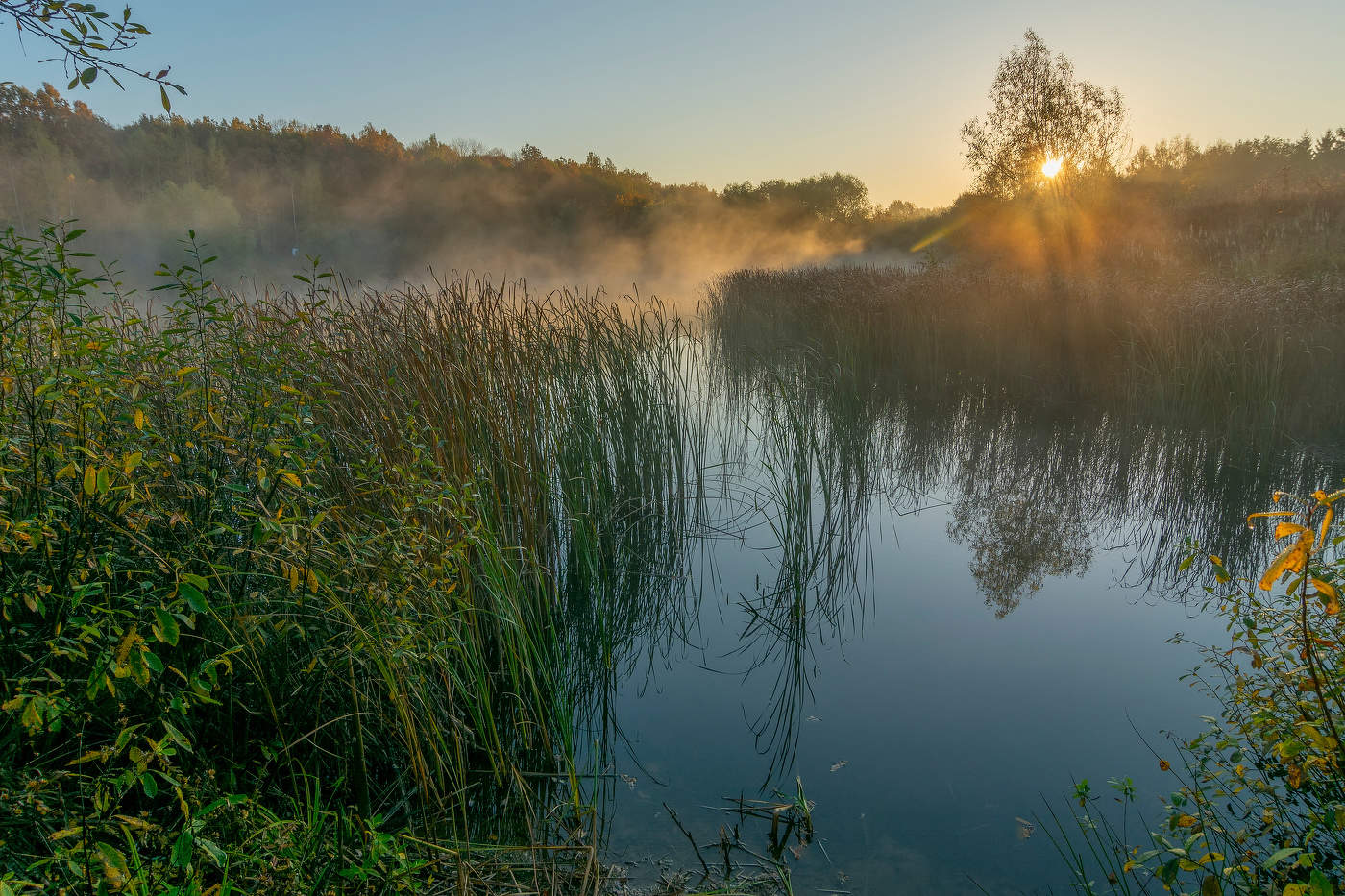 первые лучи