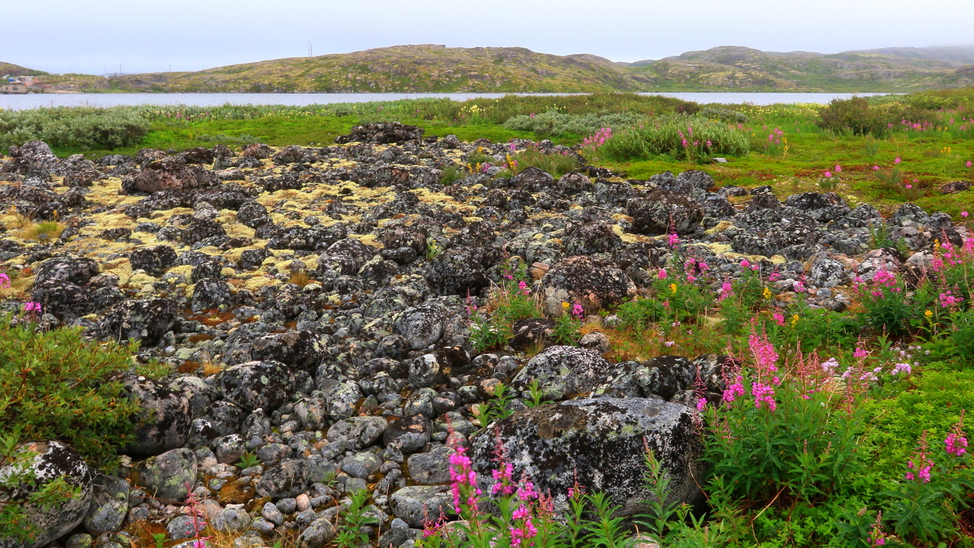 Природный парк "Териберка"