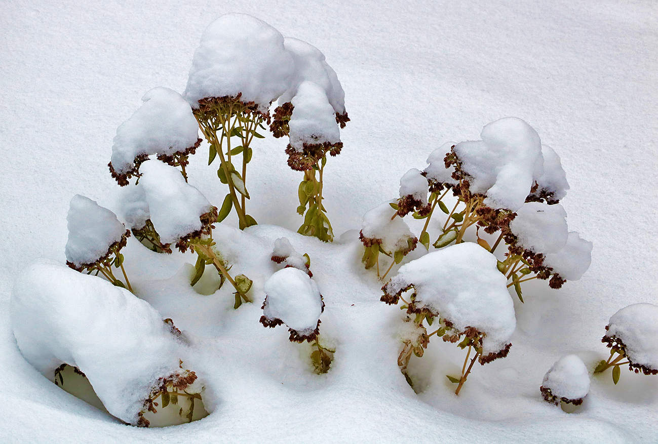 После снегопада