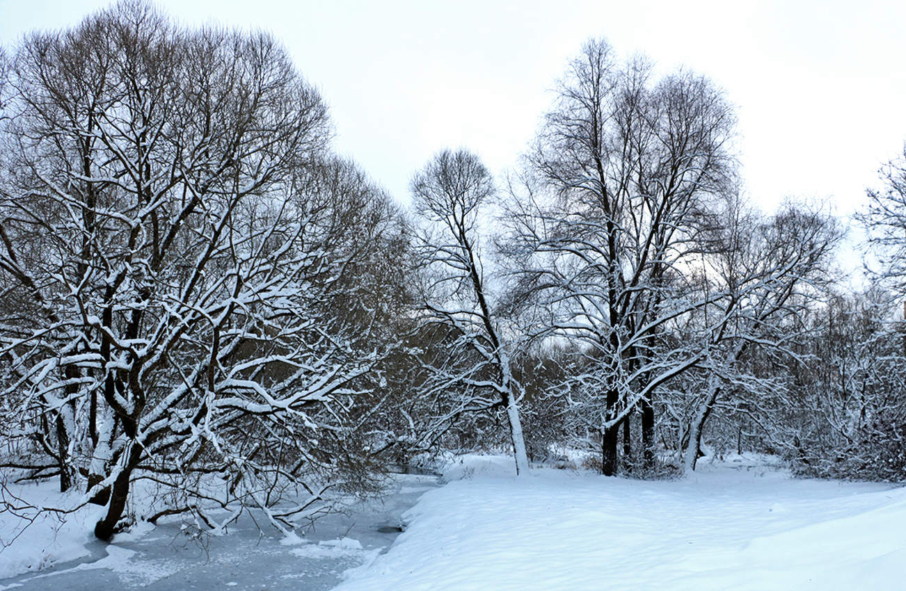 Все прядет зима...