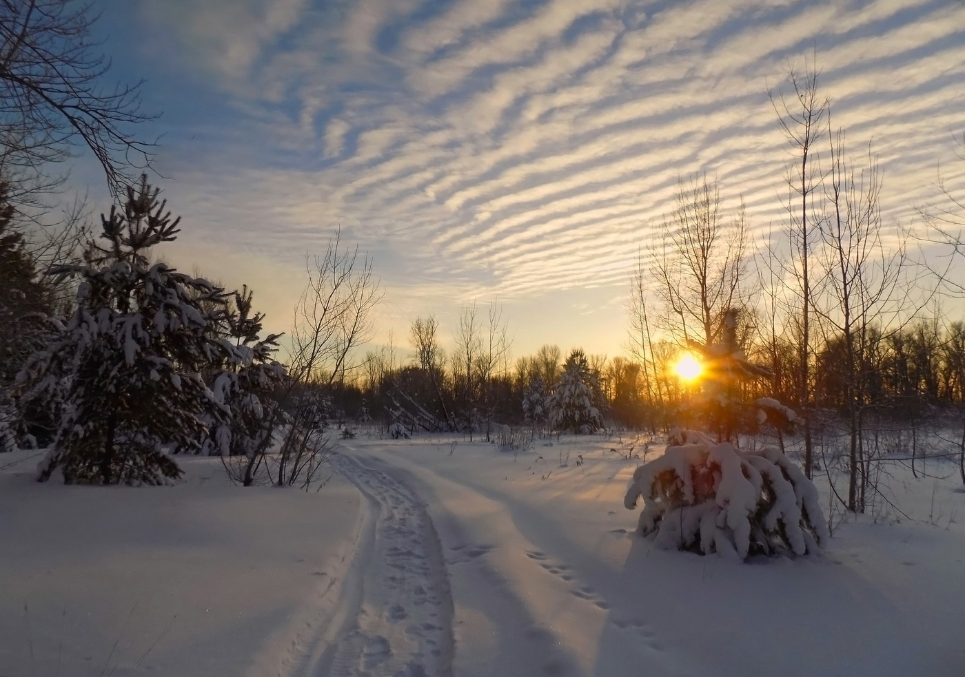 Зимний вечер