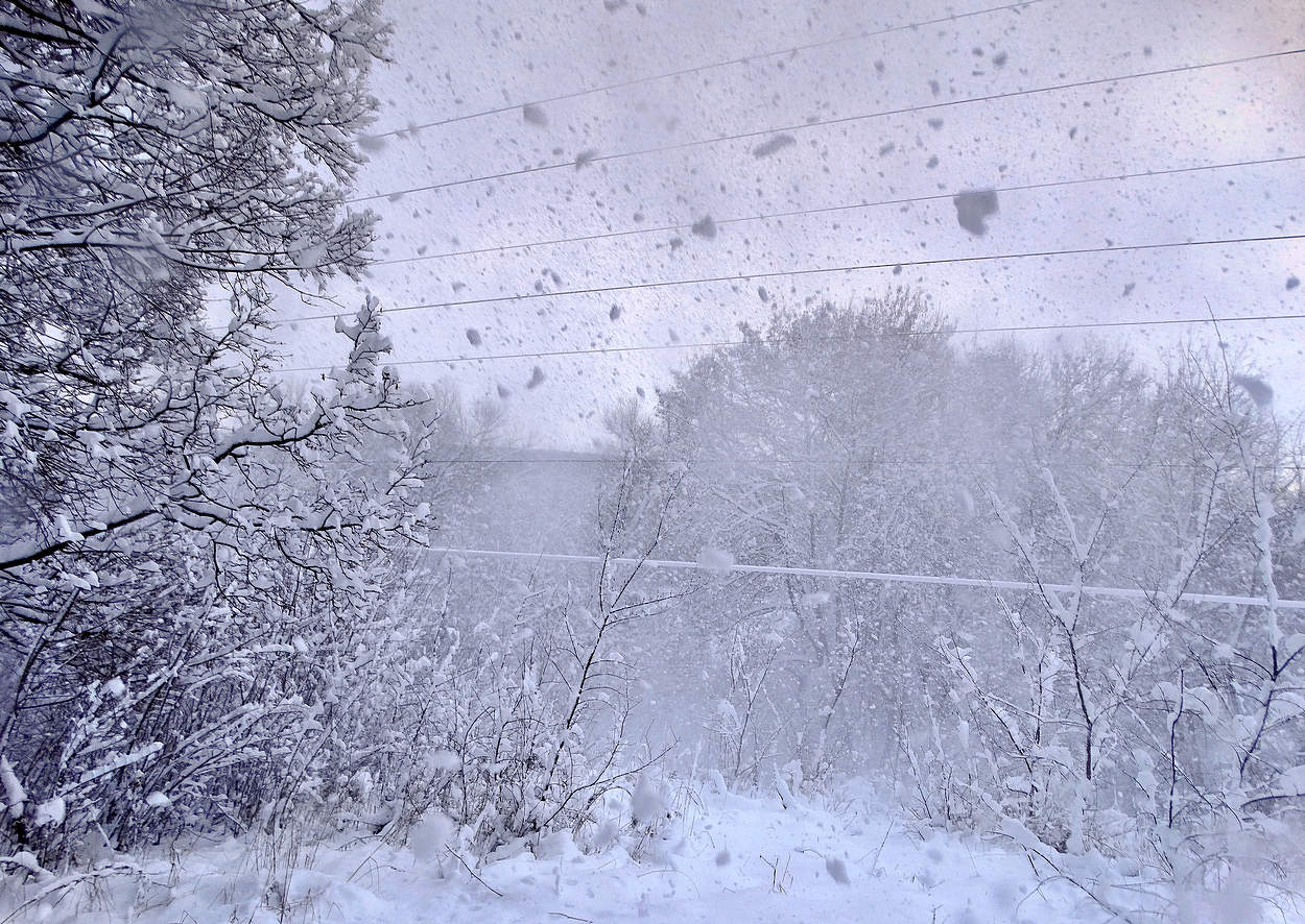 Снежная завеса