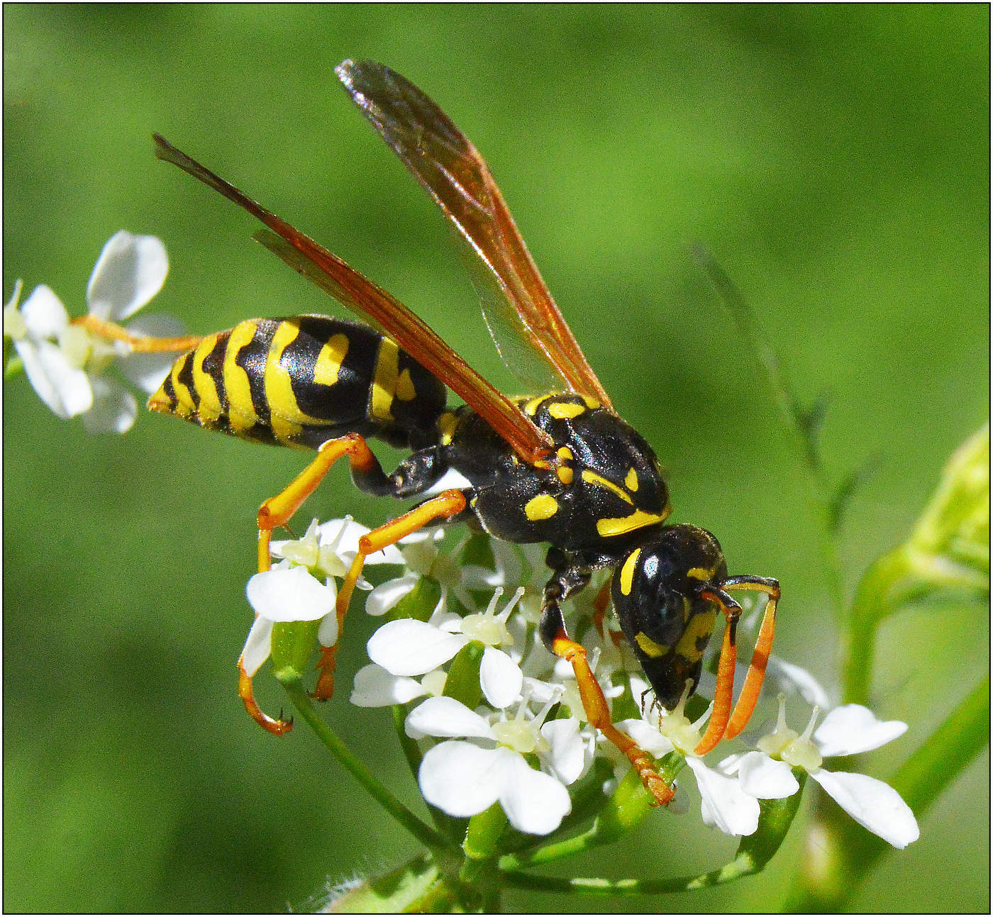 Когда занят своим делом.