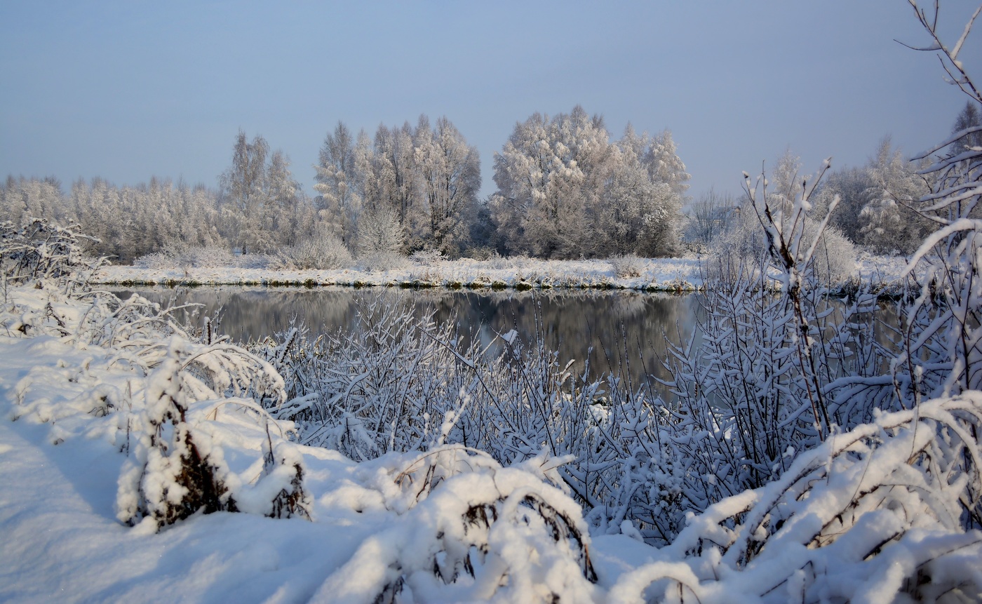 Снежный декабрь...