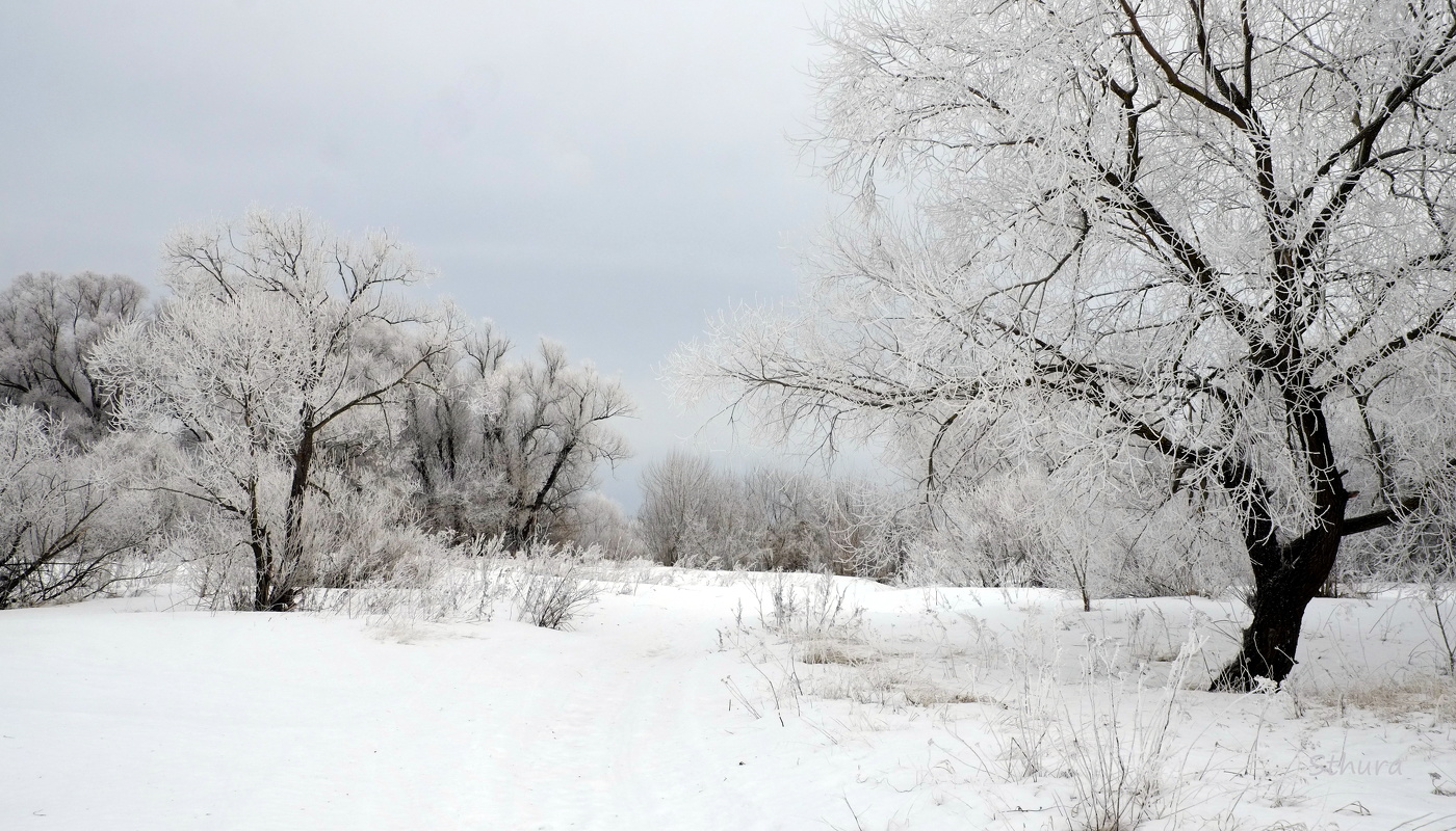 Зимний пейзаж.