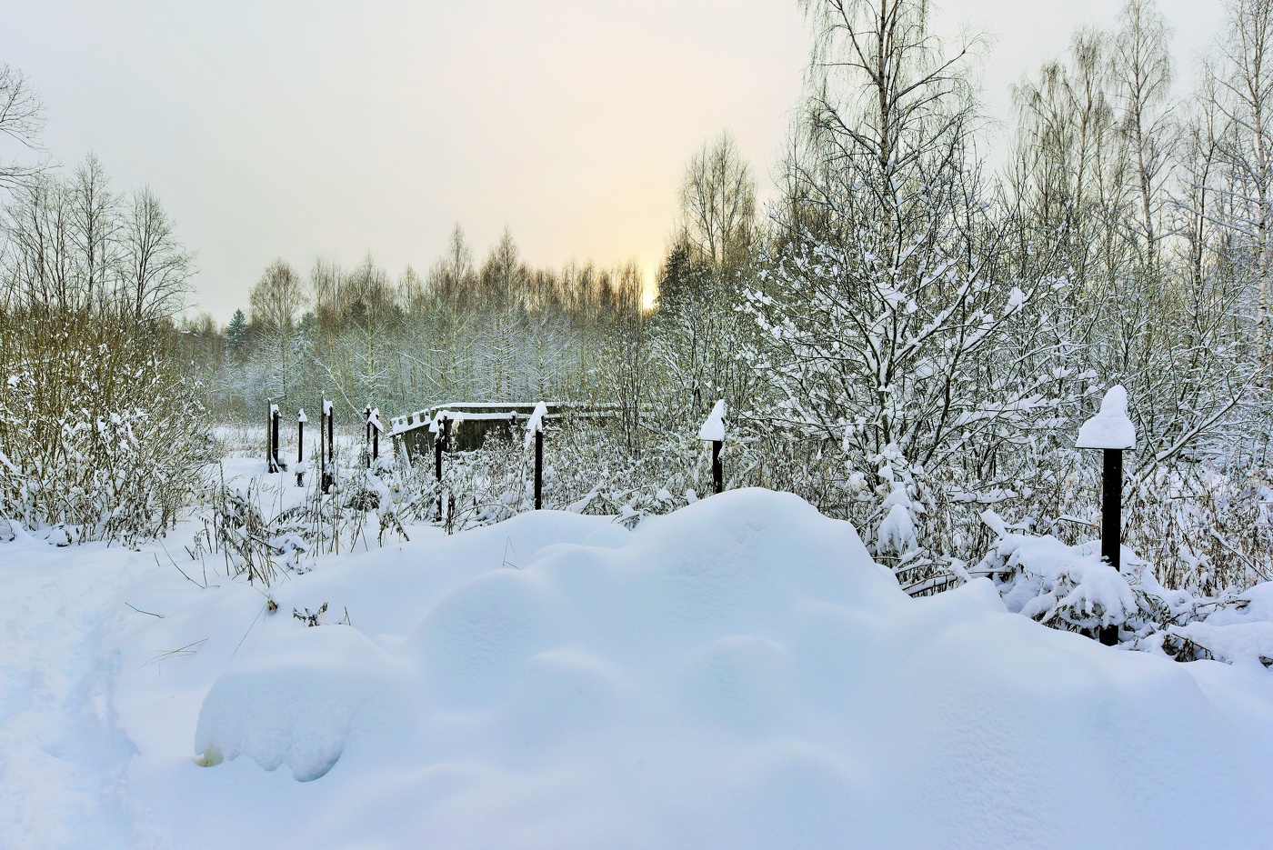 "Зима. Пахнул в лицо мне воздух чистый ..."
