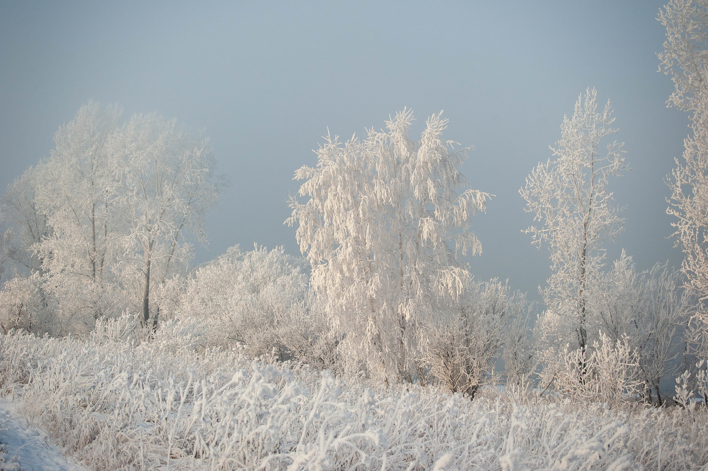 Однажды морозным днём.