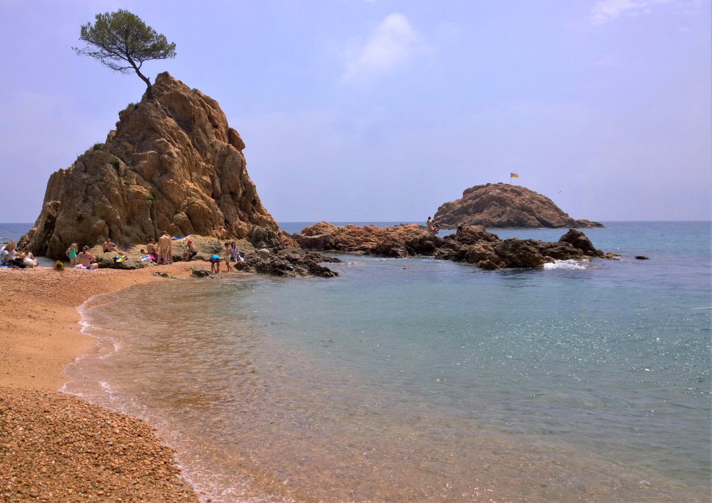 Дерево в отчаянии...