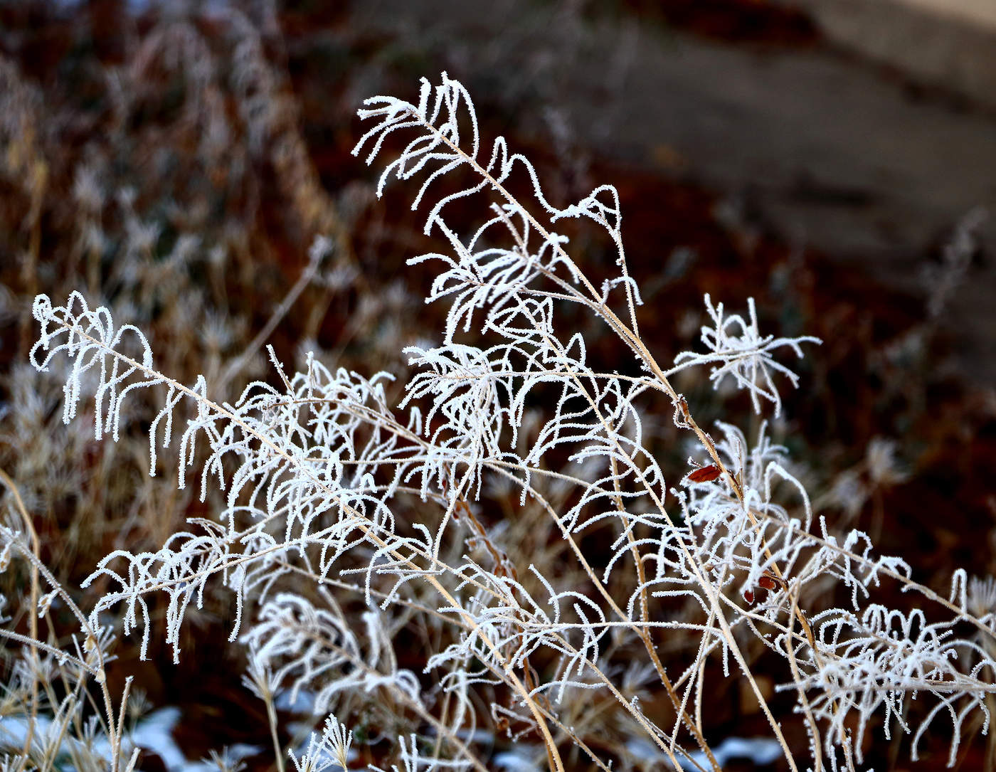 Скрипит зима, трещит мороз...