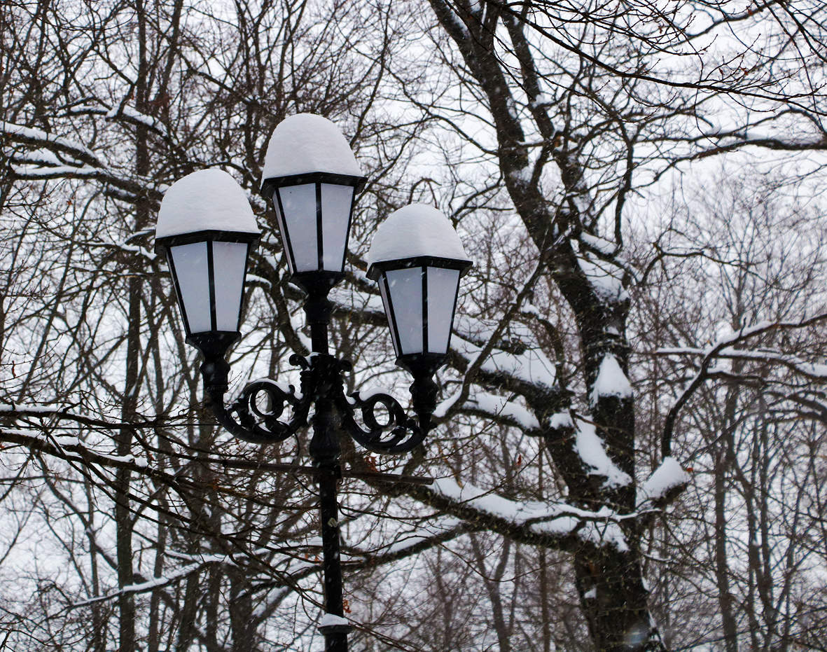 Пока горит фонарь...