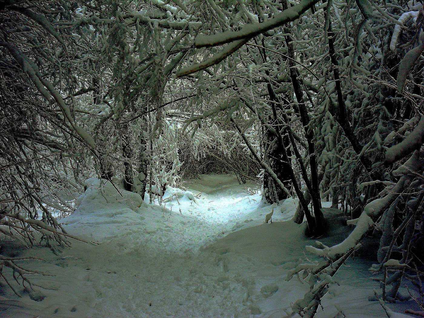 После снегопада