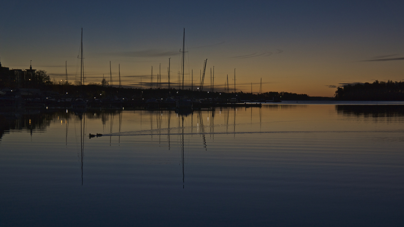 Предзимье: утки поутру