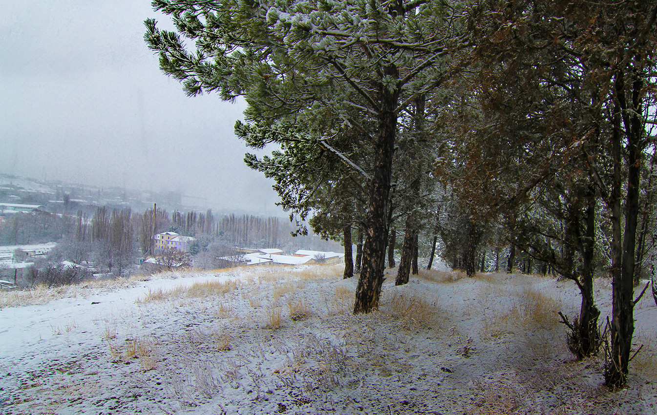 Наконец, пришла зима.