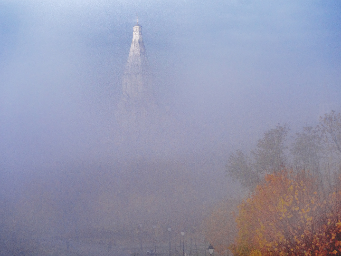 Утро в парке