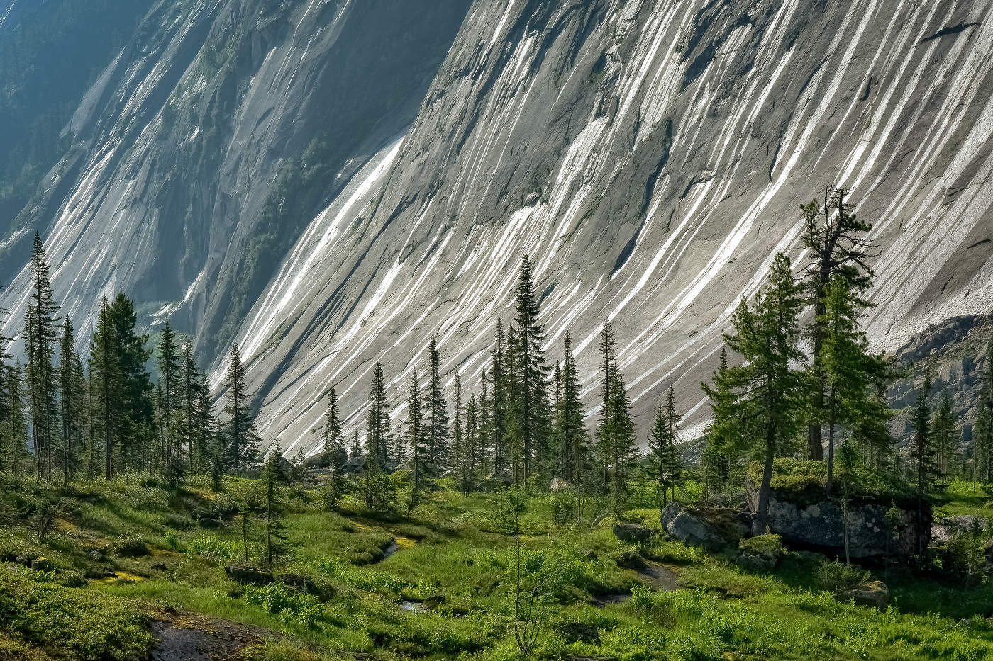 Ергаки Тайгишонок