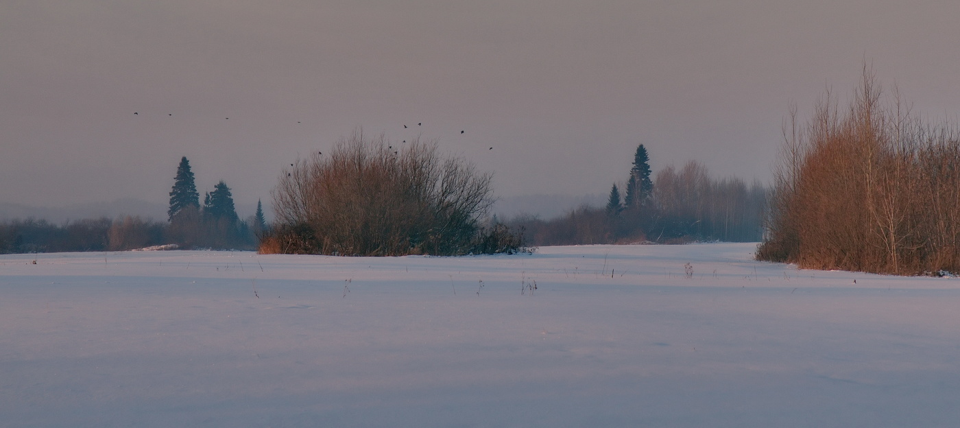 *Морозным днём.**