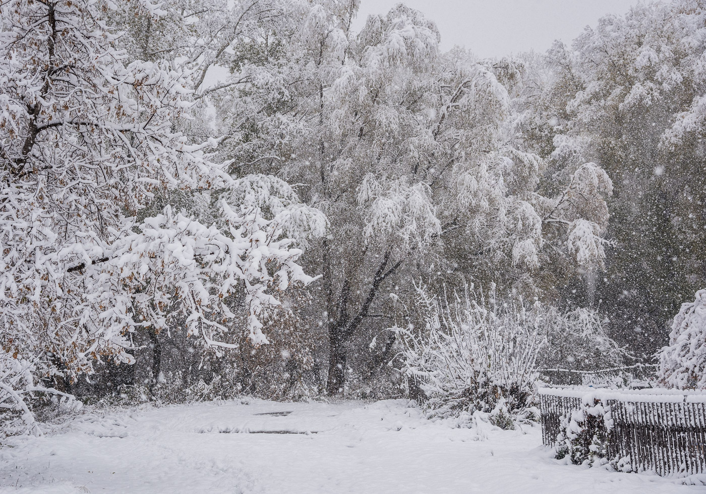 Начало зимы