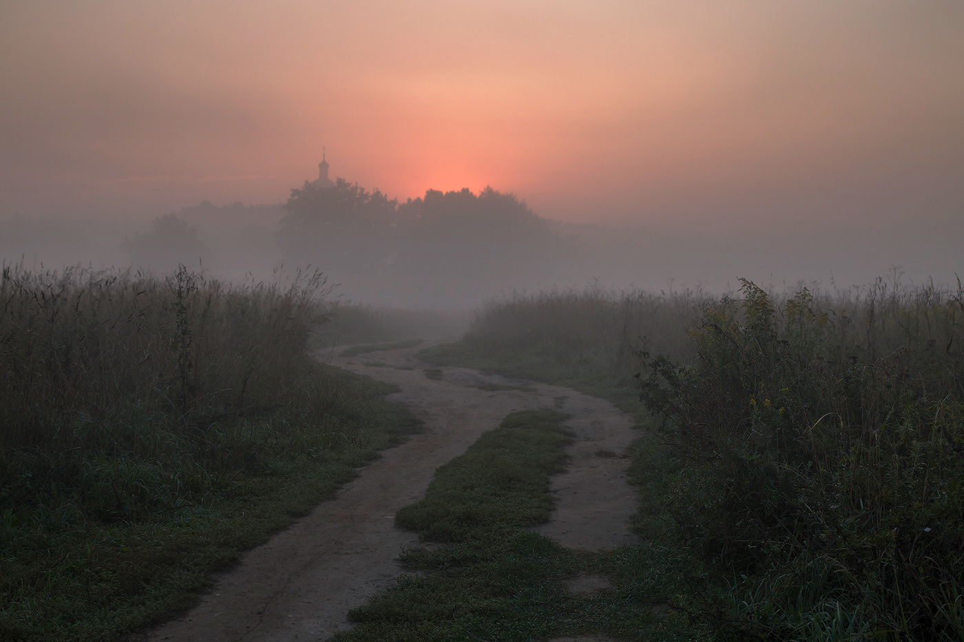 По дороге в новый день