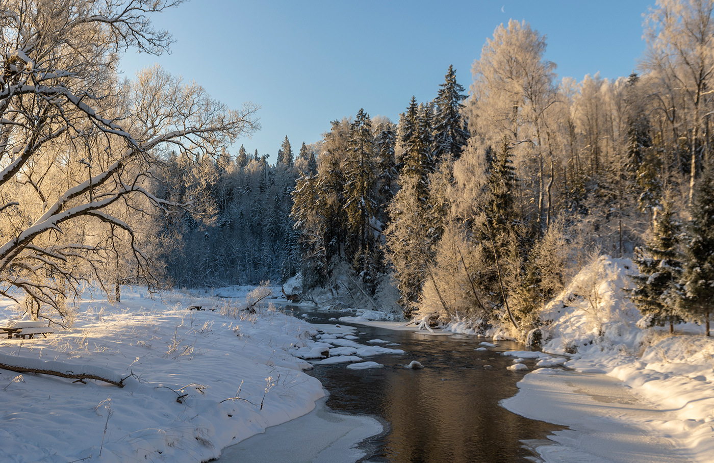 Незамерзающая