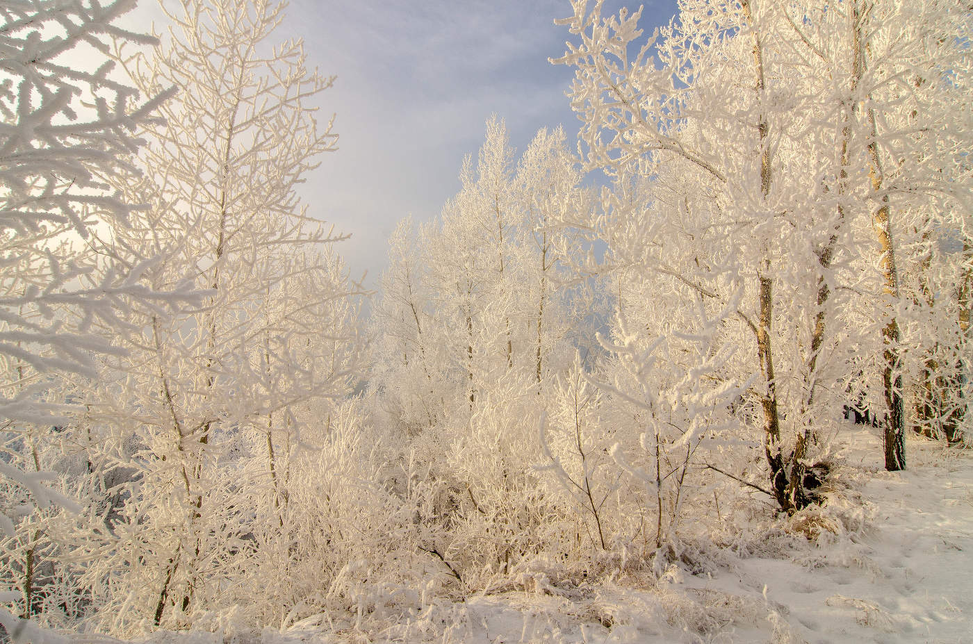 Красоты Матушки-Зимы!