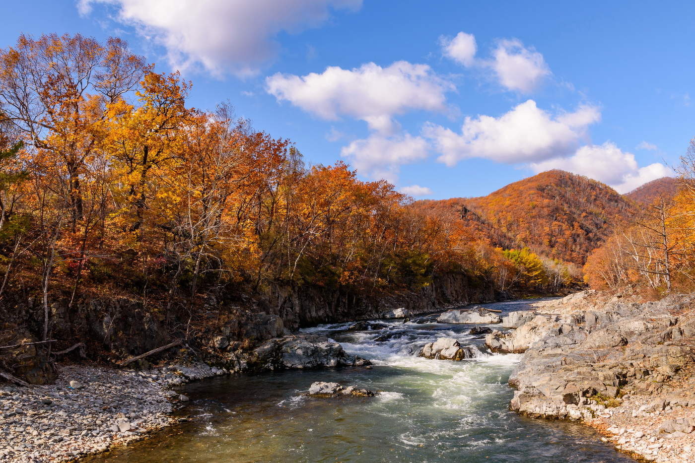 Золотая осень