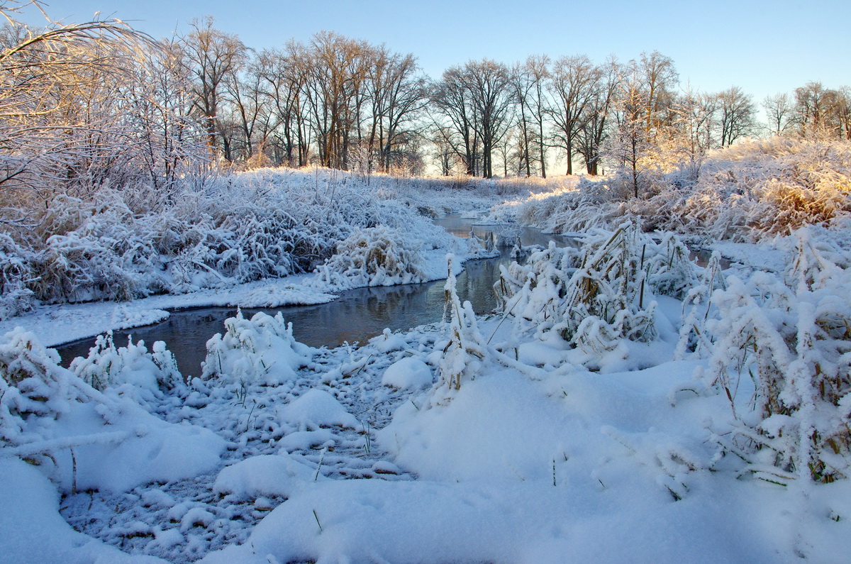 Снег и иней