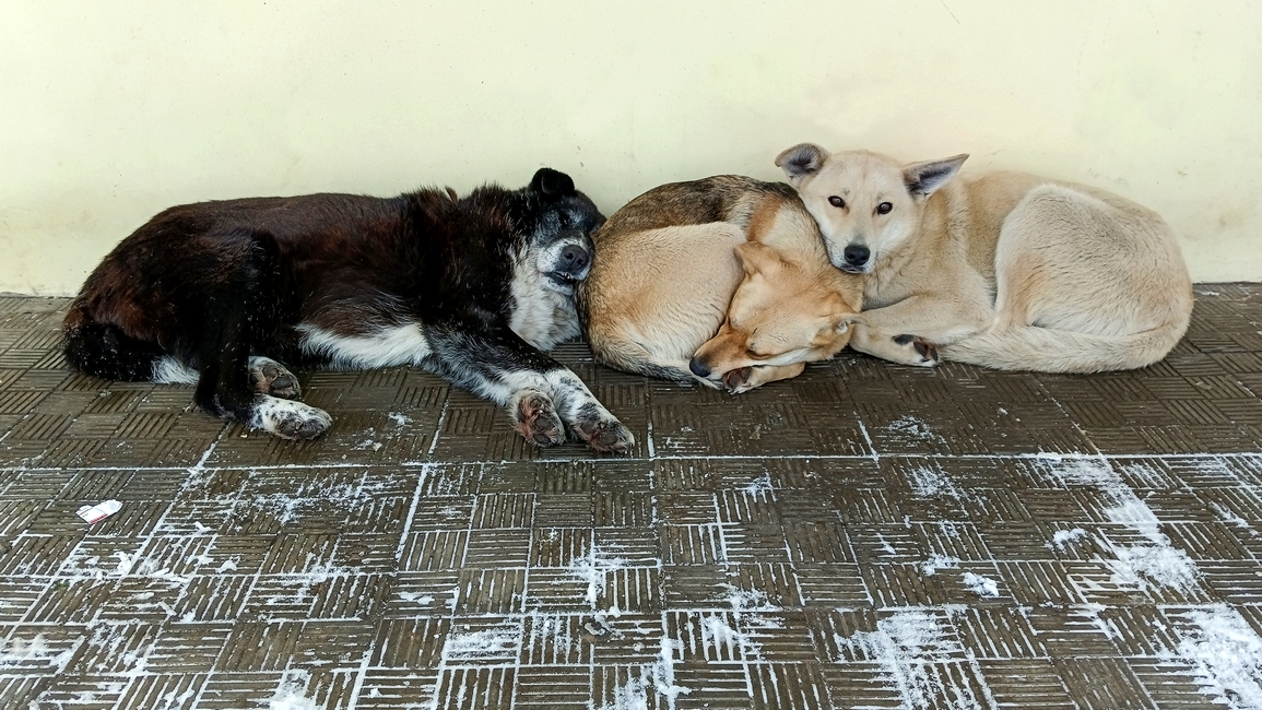 Трудные времена...