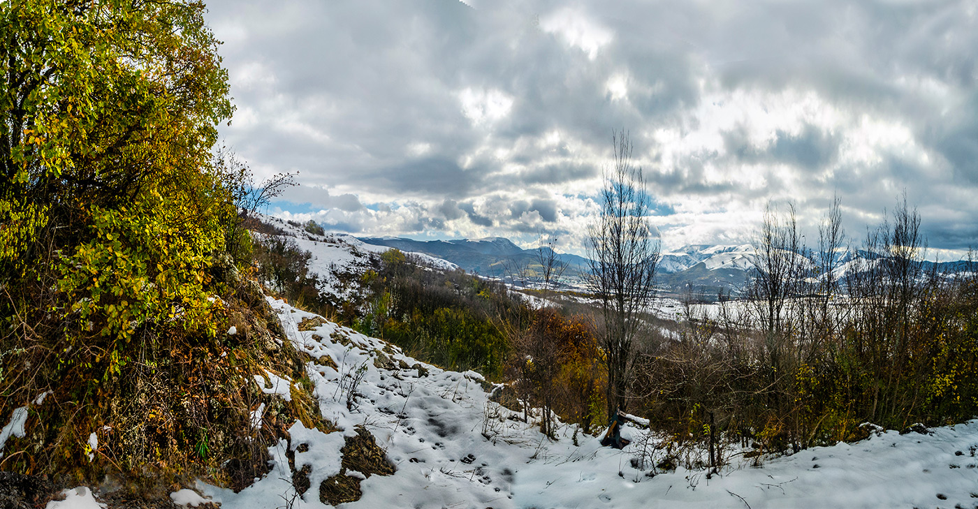 Первые снега