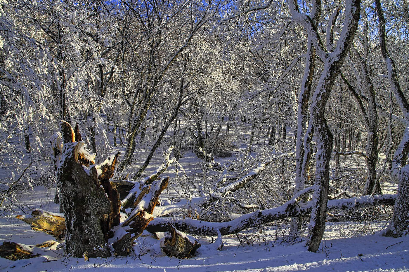 На склонах Эльх-Кая