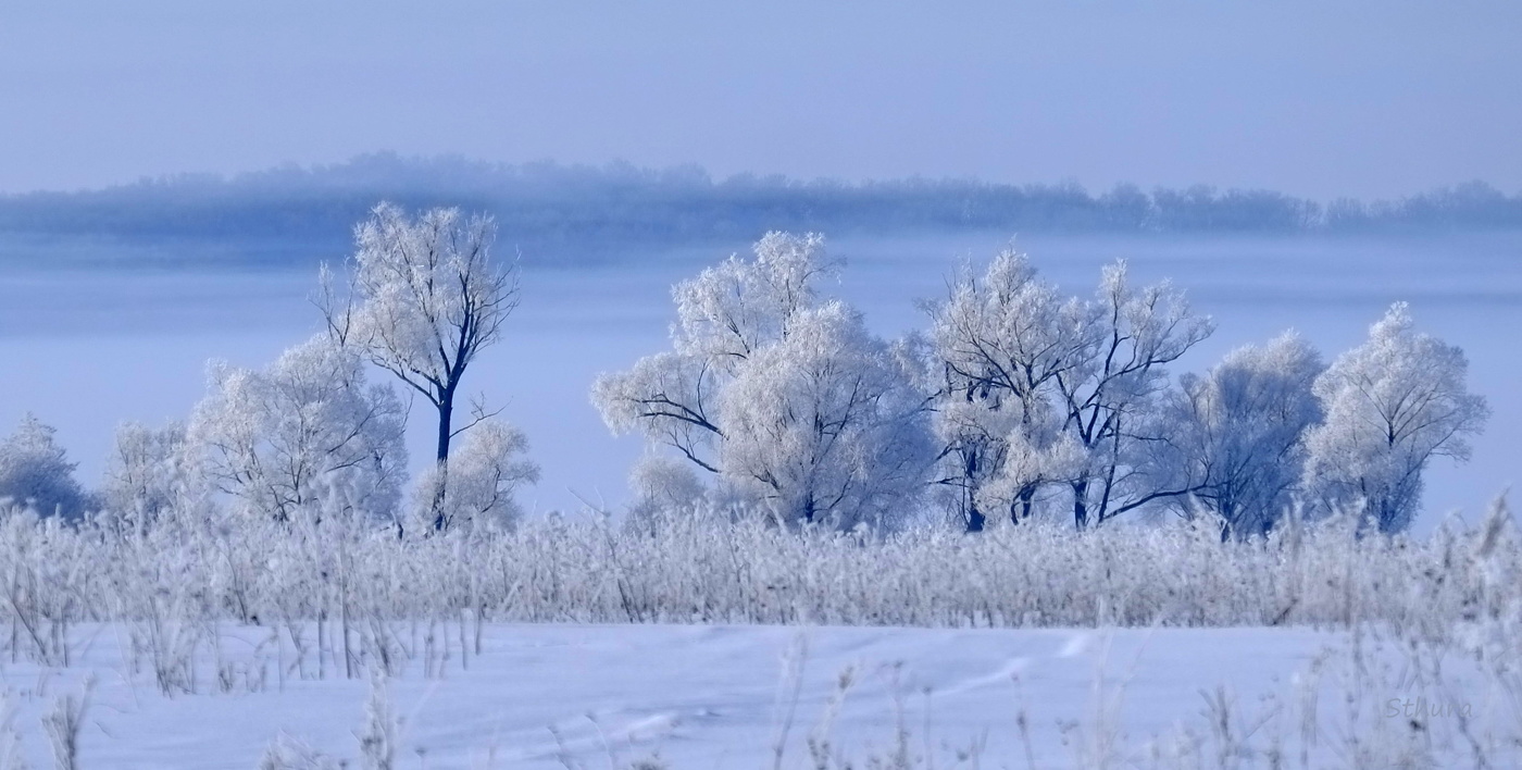 Иней на деревьях.