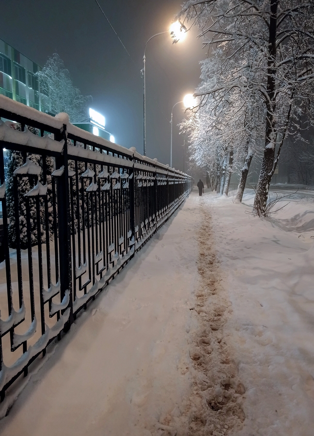 Ночью выпал снег...