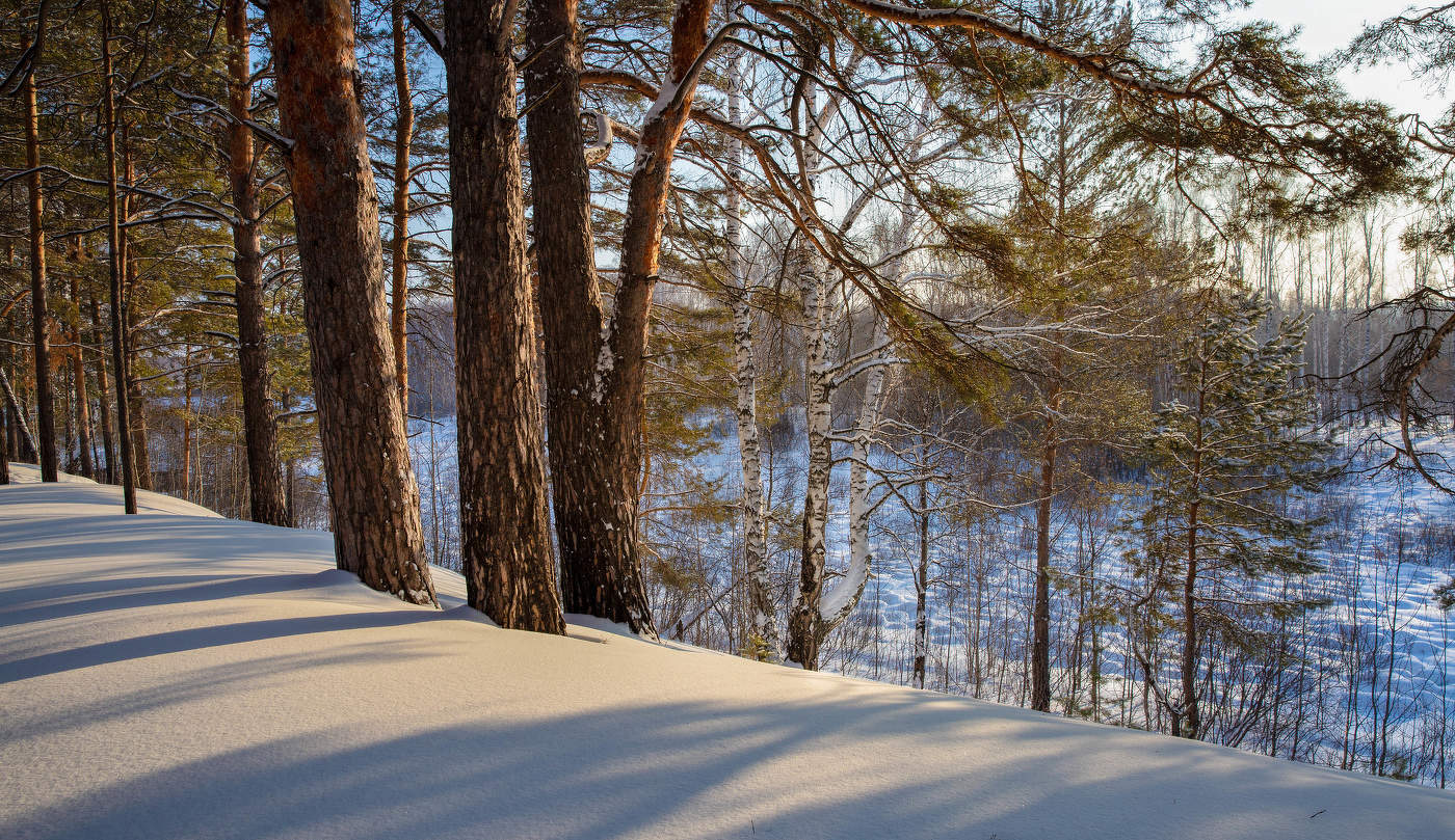 Верхний бор.