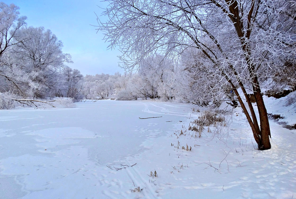 Зимняя красота