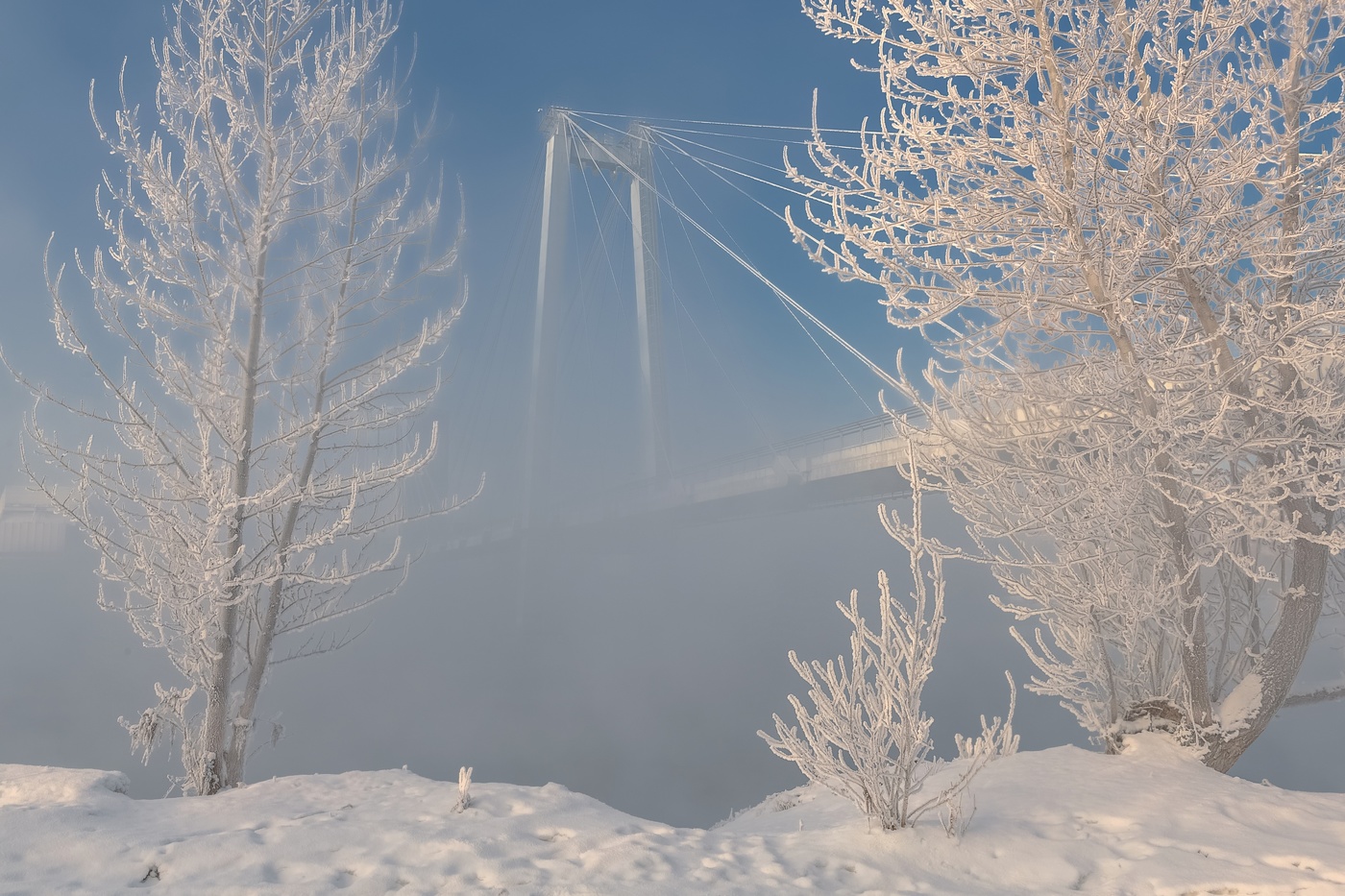 Вантовый мост