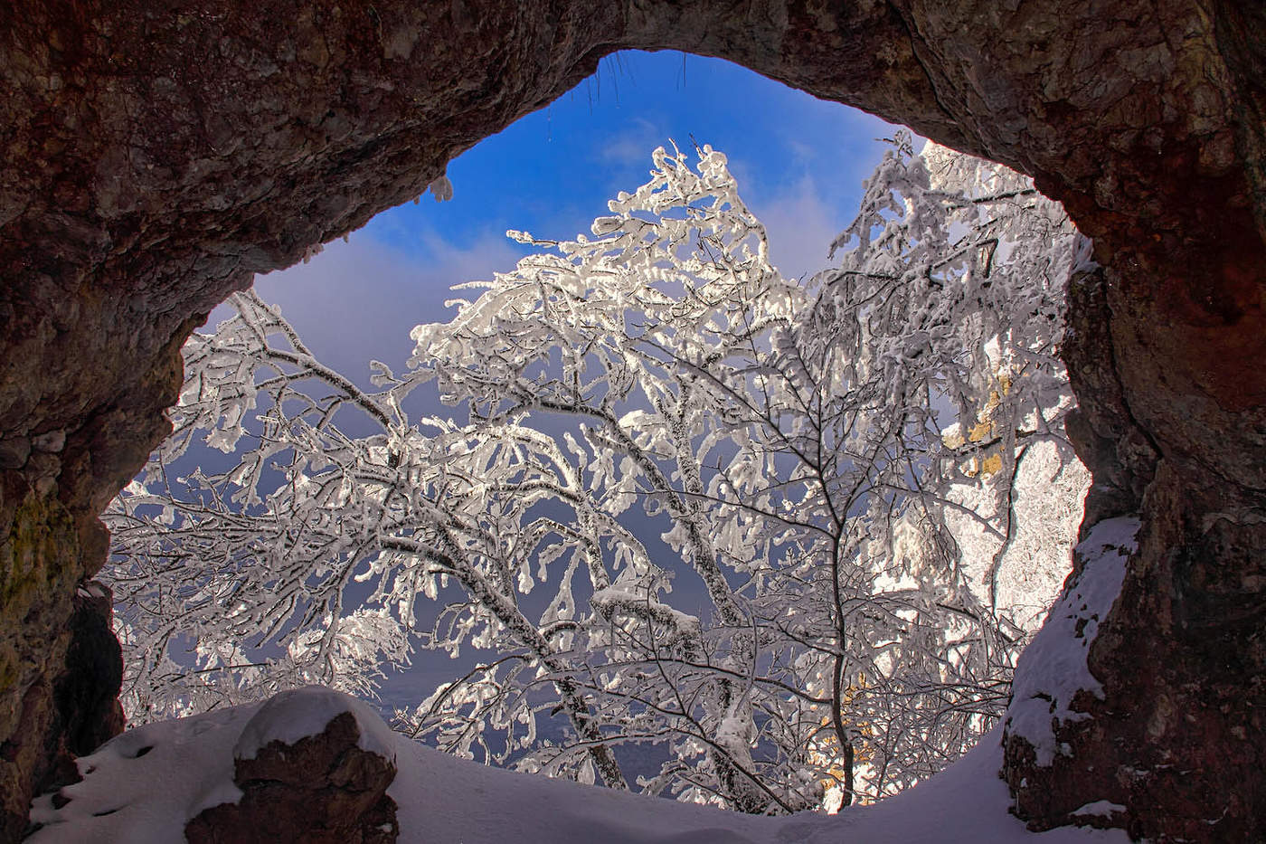 Окно в зиму