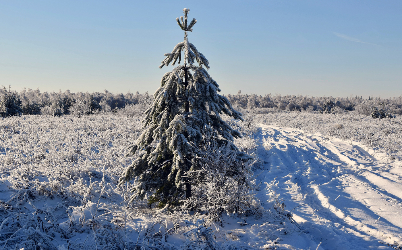 Дорога в Новый год