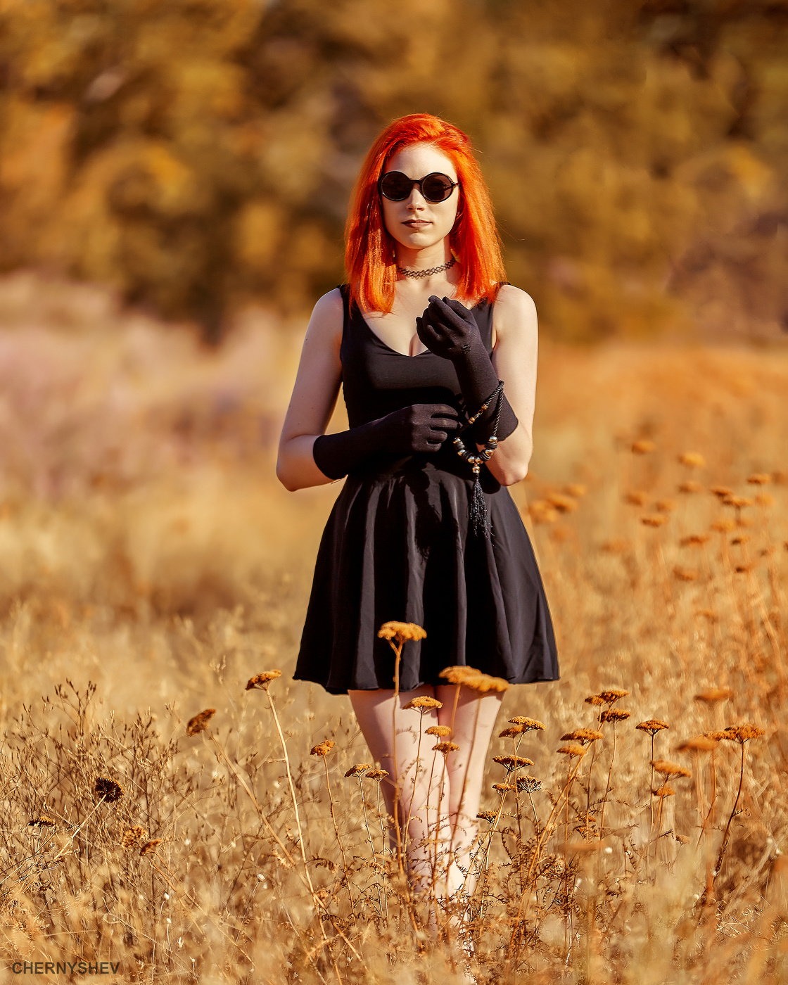 из альбома "логика листьев".