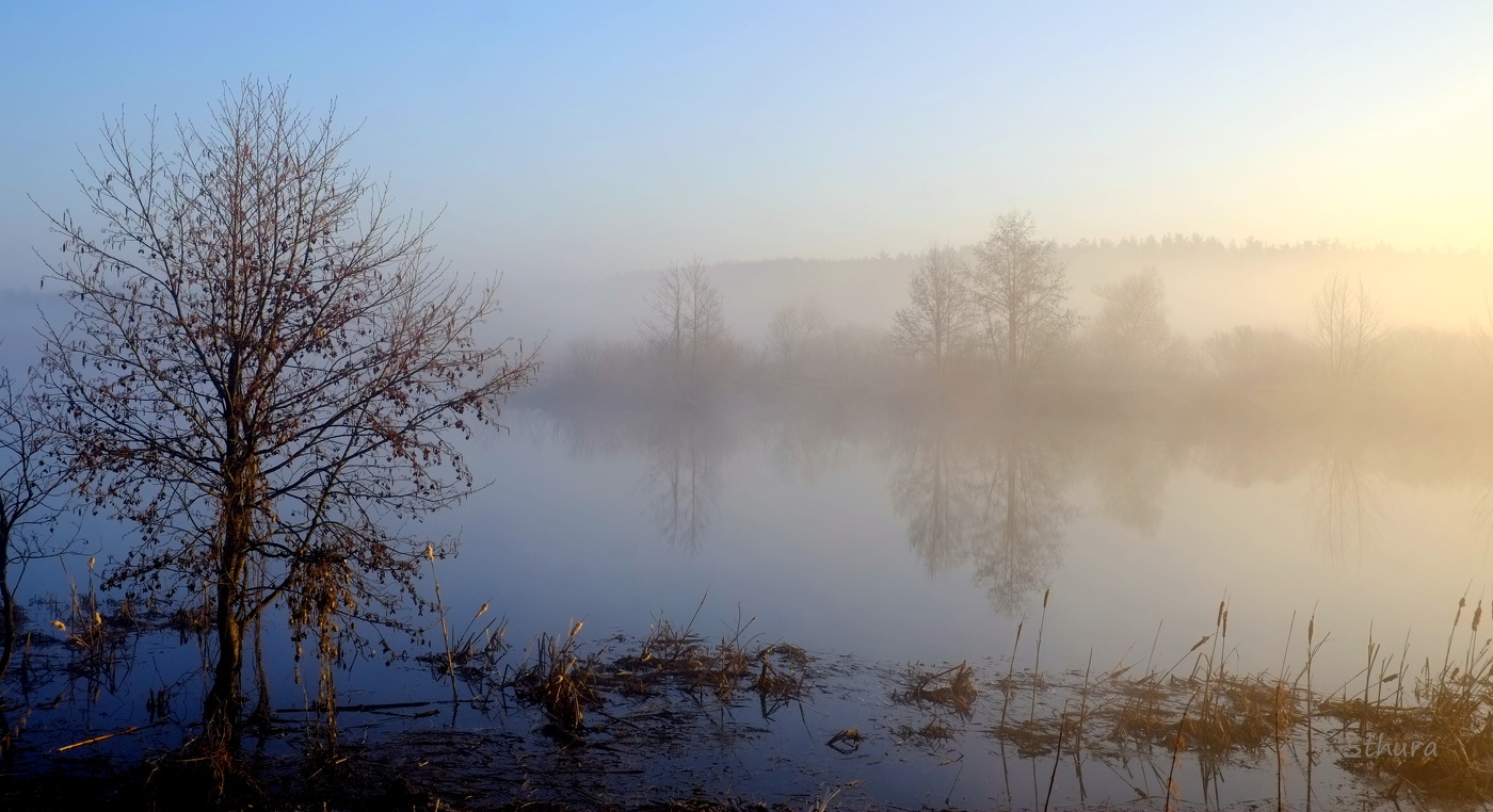 Весенний туман.