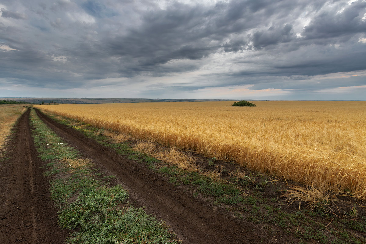 Заметки на полях