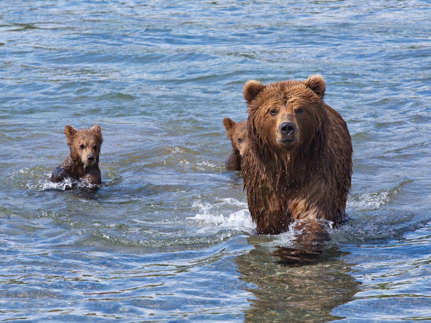 Под надёжной защитой.