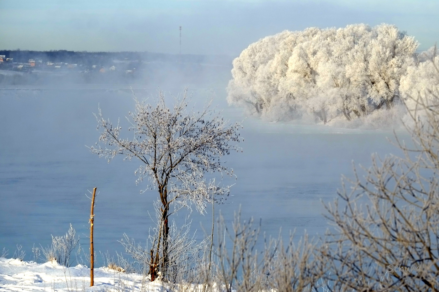 Зимним утром.