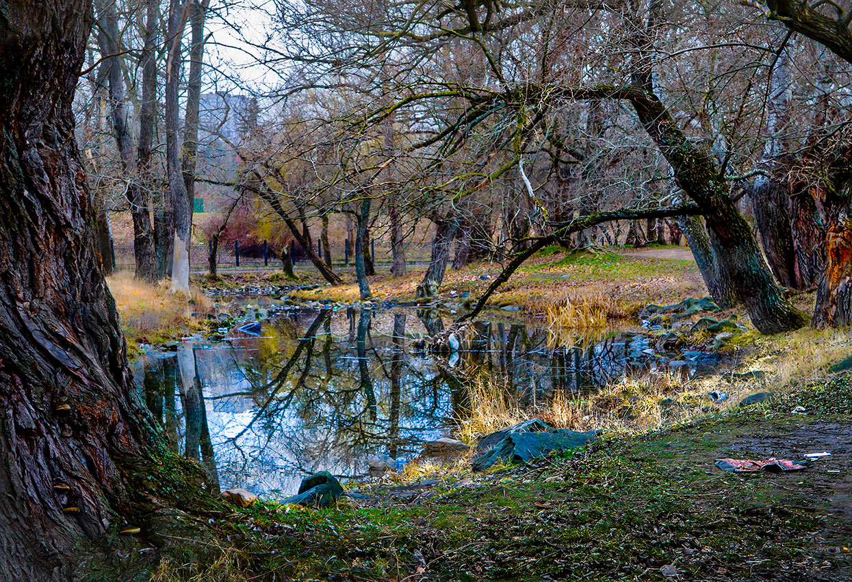 Тихий уголок