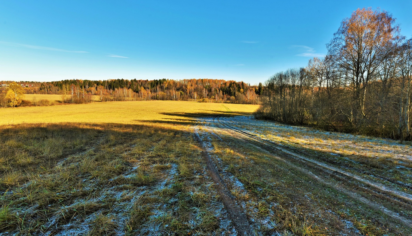 Первые заморозки ...