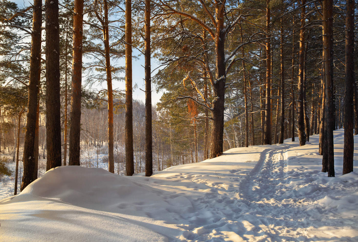 Зимний пейзаж.