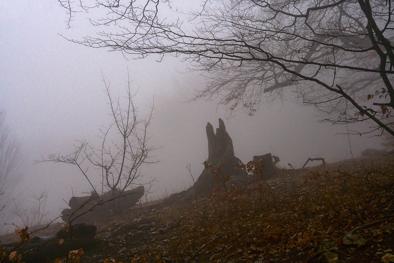 Туманность Чатыр-Дага