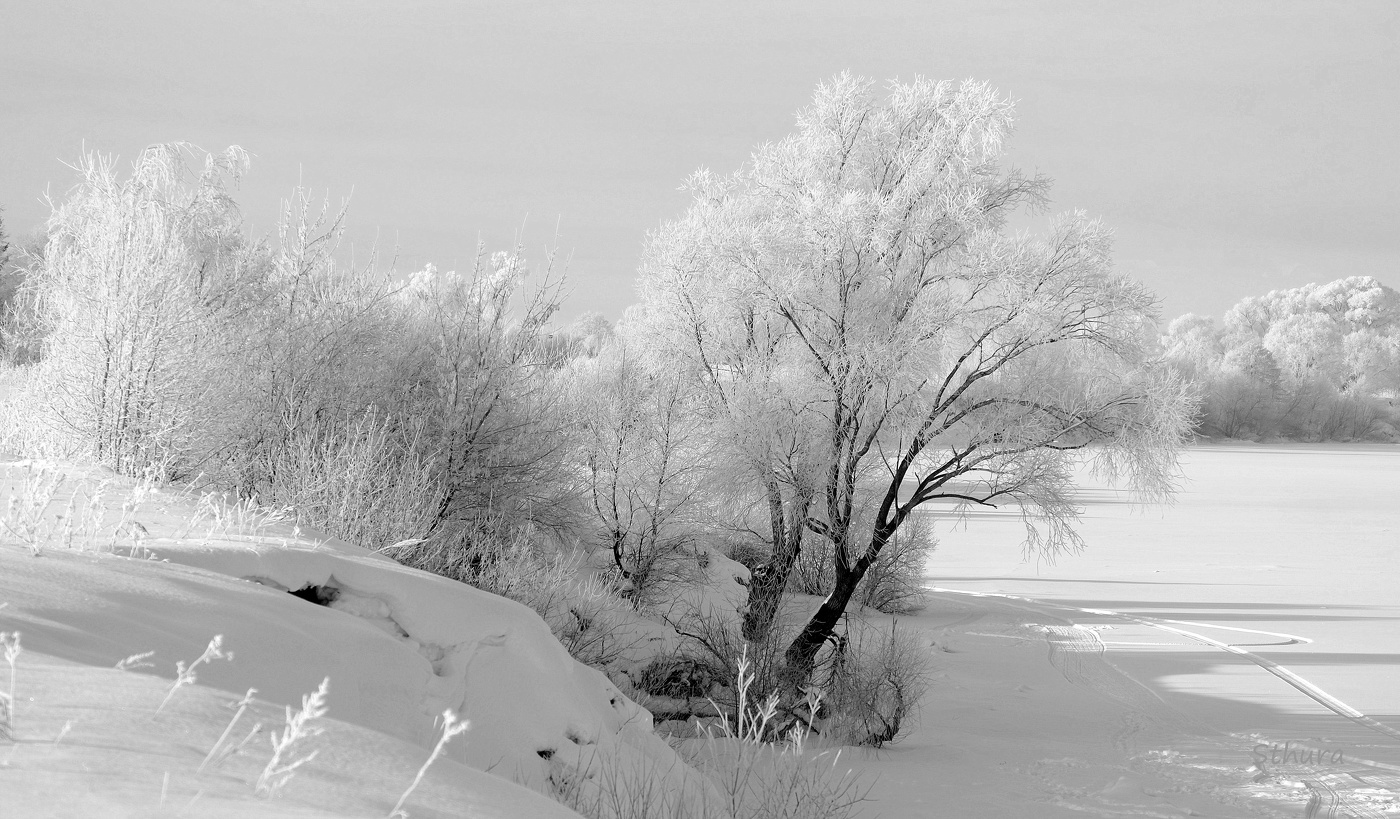 Зима на Оке.