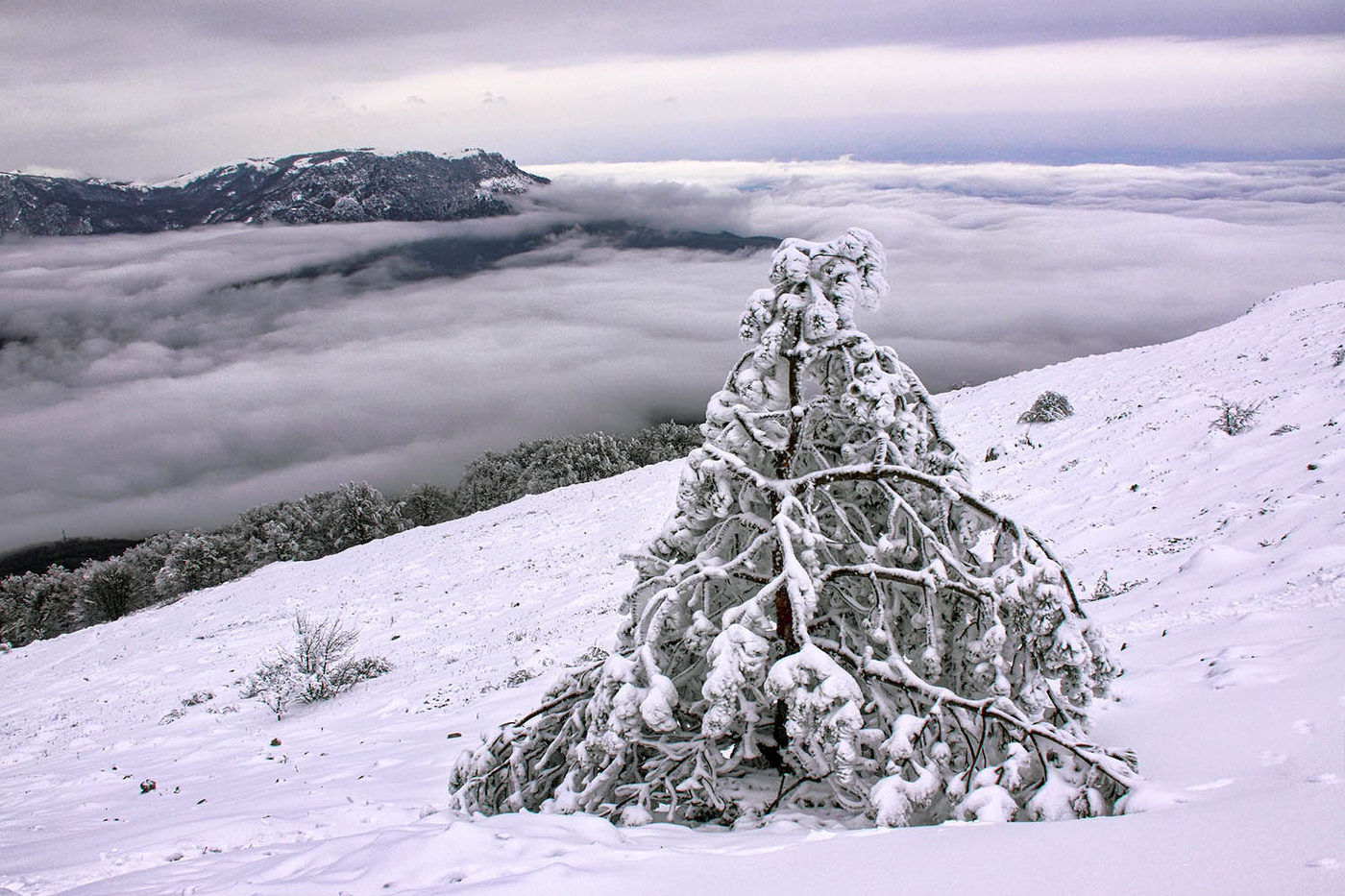 Зима на верхнем плато