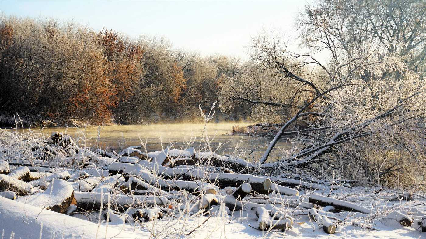 К зиме вершится переход